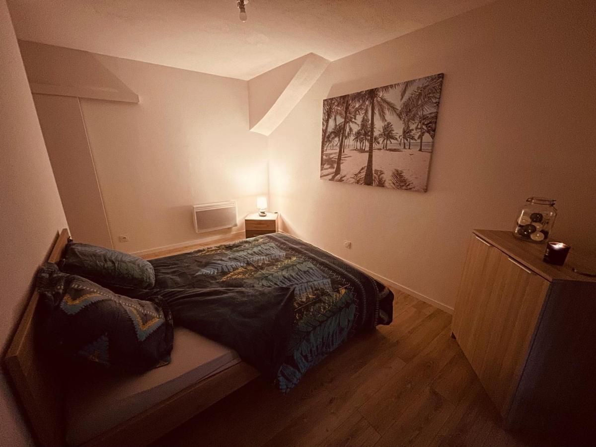 La Cave Aux Lumieres - Proche Centre-Ville - 2 Chambres - Wifi Renaison ภายนอก รูปภาพ